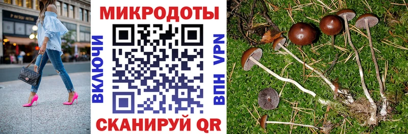 Псилоцибиновые грибы MAGIC MUSHROOMS  OMG tor  Рузаевка 